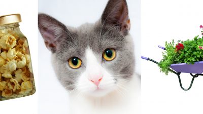 Kollage på veckans nyheter